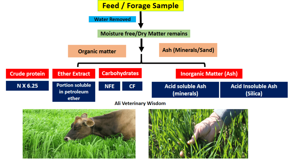 proximate-analysis-chemical-analysis-of-feed-material-ali