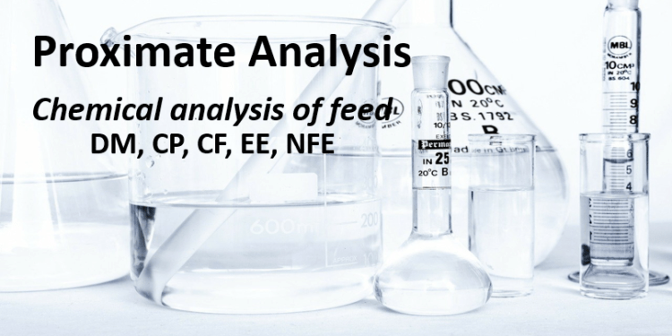 weende-s-system-of-proximate-analysis-chemical-analysis-of-feed