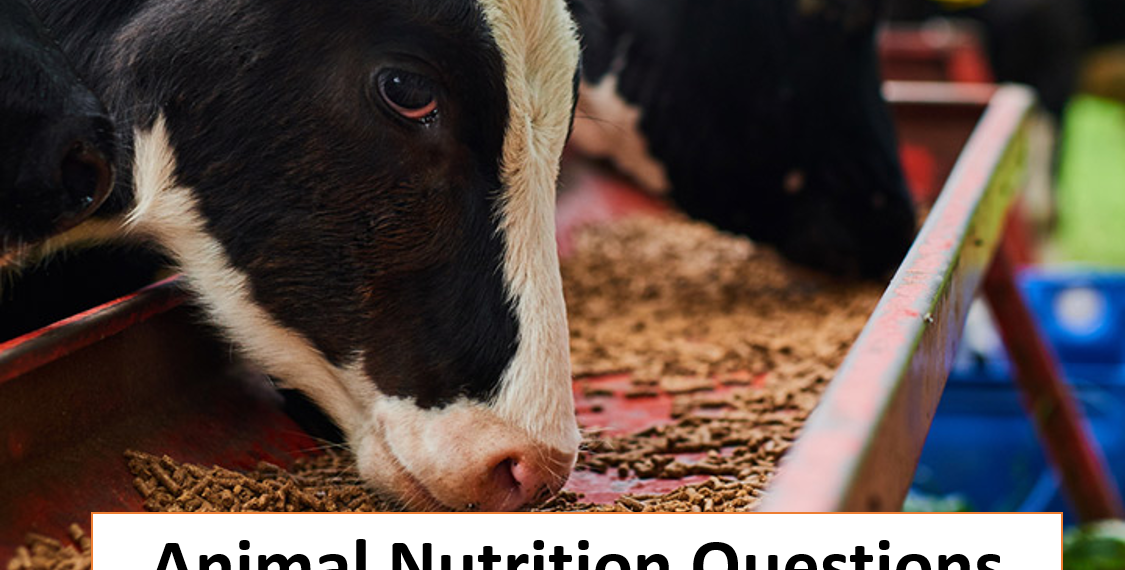 Animal Nutrition Questions for JRF & SRF | Ali Veterinary Wisdom