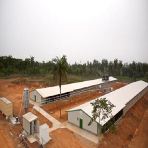 Land & Location Selection for Poultry Farm