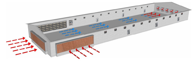 Poultry Shed Design & Layout