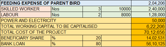 Model Project Report for Desi Poultry Breeder & Hatchery Unit under NLM Scheme WORKING CAPITAL(FOR EIGHT MONTHS) TO BE CAPITALISED