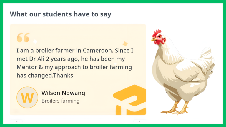 Home Ali veterinary wisdom testimonials