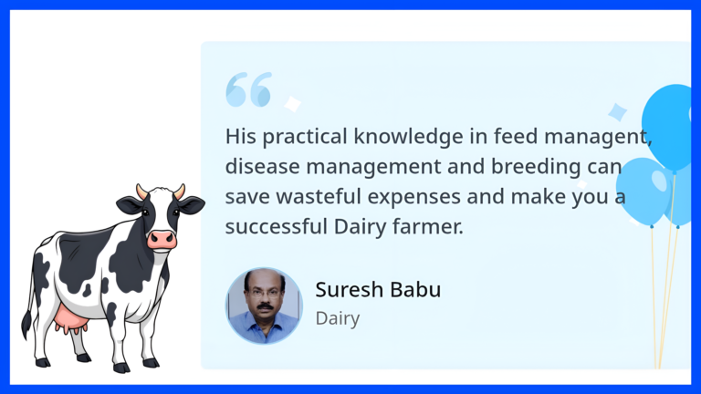 Home Ali veterinary wisdom testimonials