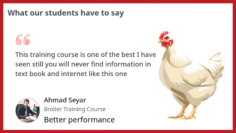 Home Ali veterinary wisdom testimonials