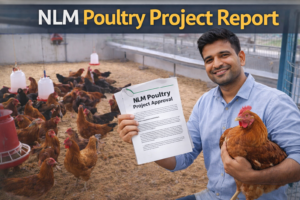Model Project Report for Desi Poultry Breeder & Hatchery Unit under NLM Scheme