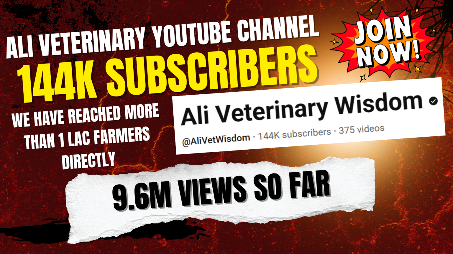 ali vet wisdom channel