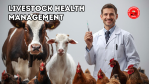 Livestock Health Management: Practical Disease Prevention & Control Guide for Poultry, Dairy, Goat & Sheep Farms