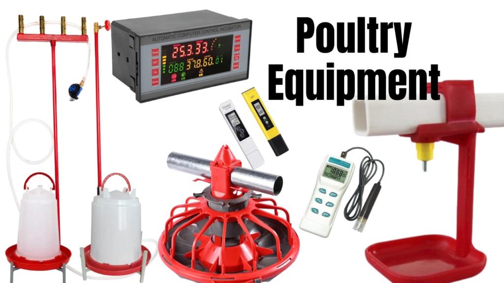 poultry equipment