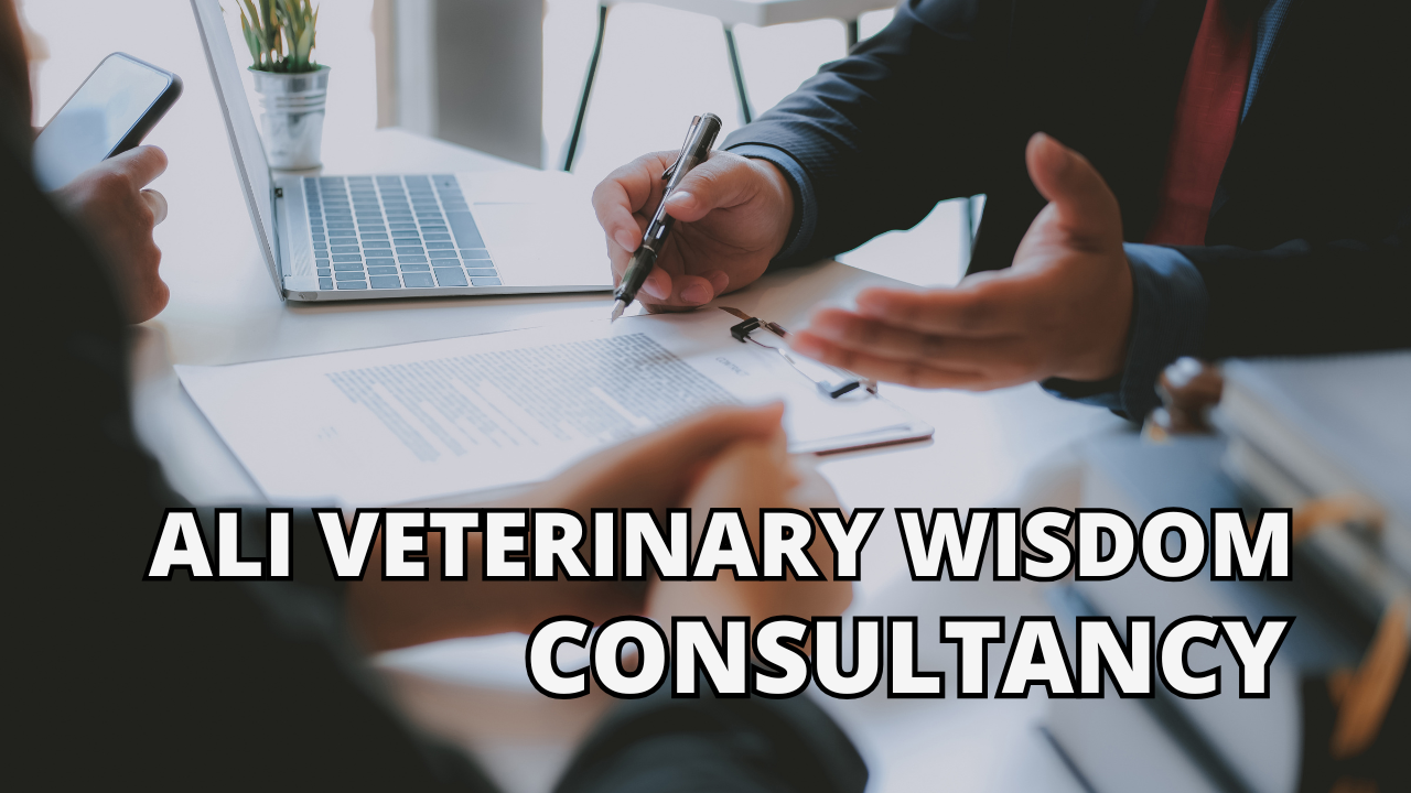poultry-dairy-goat-veterinary-consultancy/