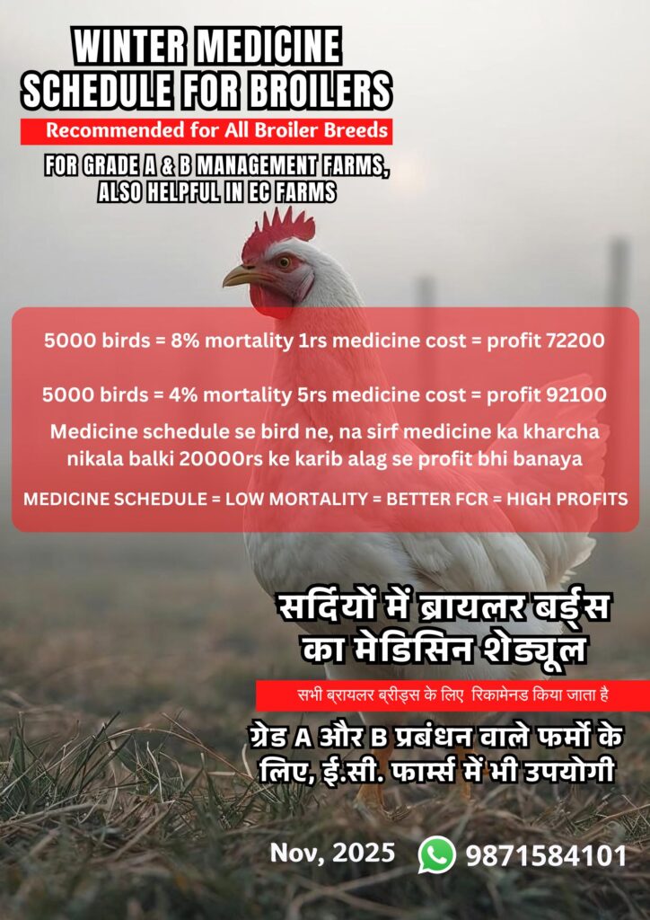 winter broiler schedule