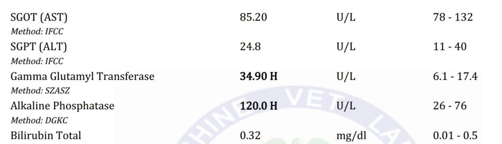 Liver Function in Cows image