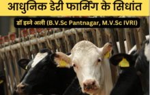 Principles of modern dairy farming