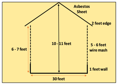 Broiler Management and Disease Control Guide for Indian Poultry Farms (Complete Practical Manual) Height and width of broiler farm