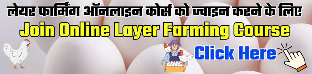 Basics of Layer Farming Part Practical Points to Start Layer Farm layer farming online course