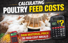 poultry nutrition and feed cost calculator