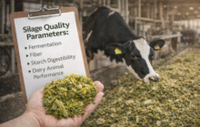 Silage Quality Parameters silage quality parameters