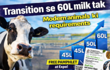 Dairy Feed Management Dairy Feed Management