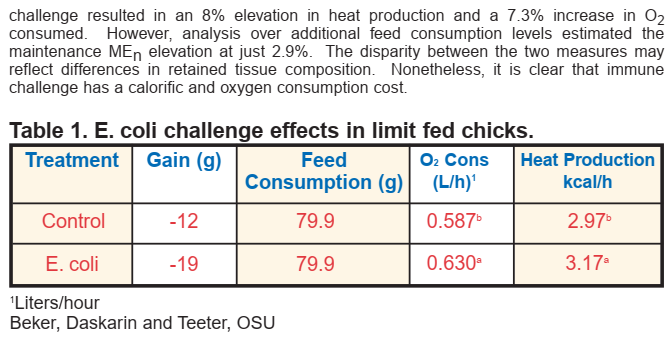 E.coli challenge effects in broilers