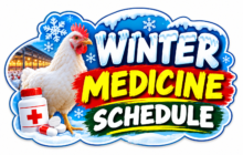 winter broiler medicine schedule