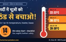 Sardi me choozon ko thand se bachao: broiler brooding din 1 se 14 temperature chart