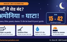 Sardi me broiler shed band? Ammonia se ghata: din 15 se 42 tak hawa, litter, paani aur wazan ki guide