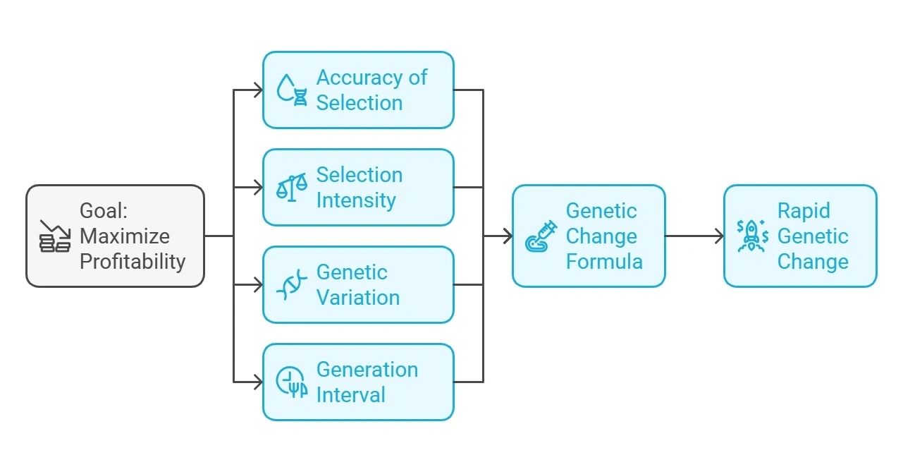 Decoding Sire Summary: A Practical Guide to Dairy Cattle Genetics