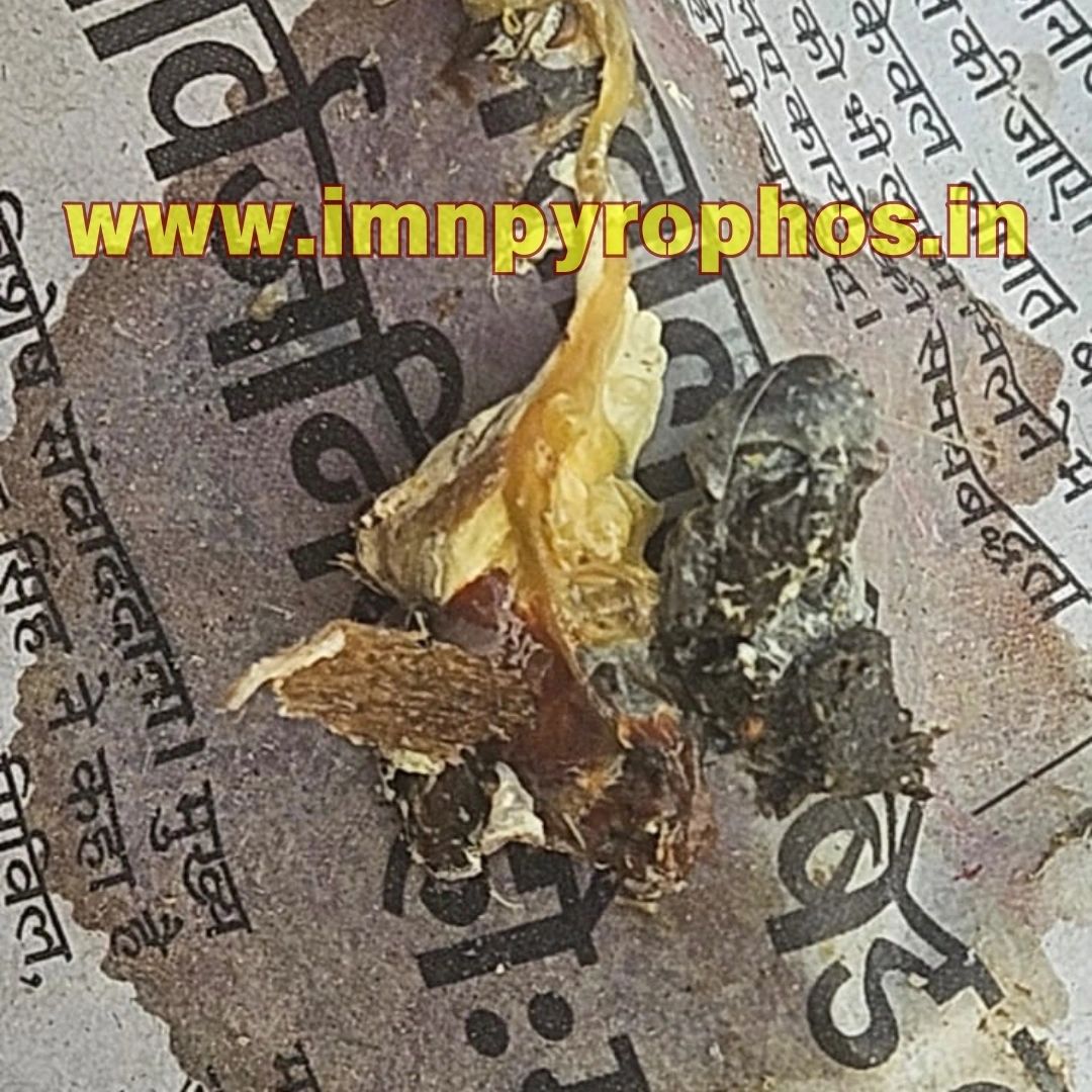 Poultry Droppings/ Chicken Poop Color Guide - Loose Droppings