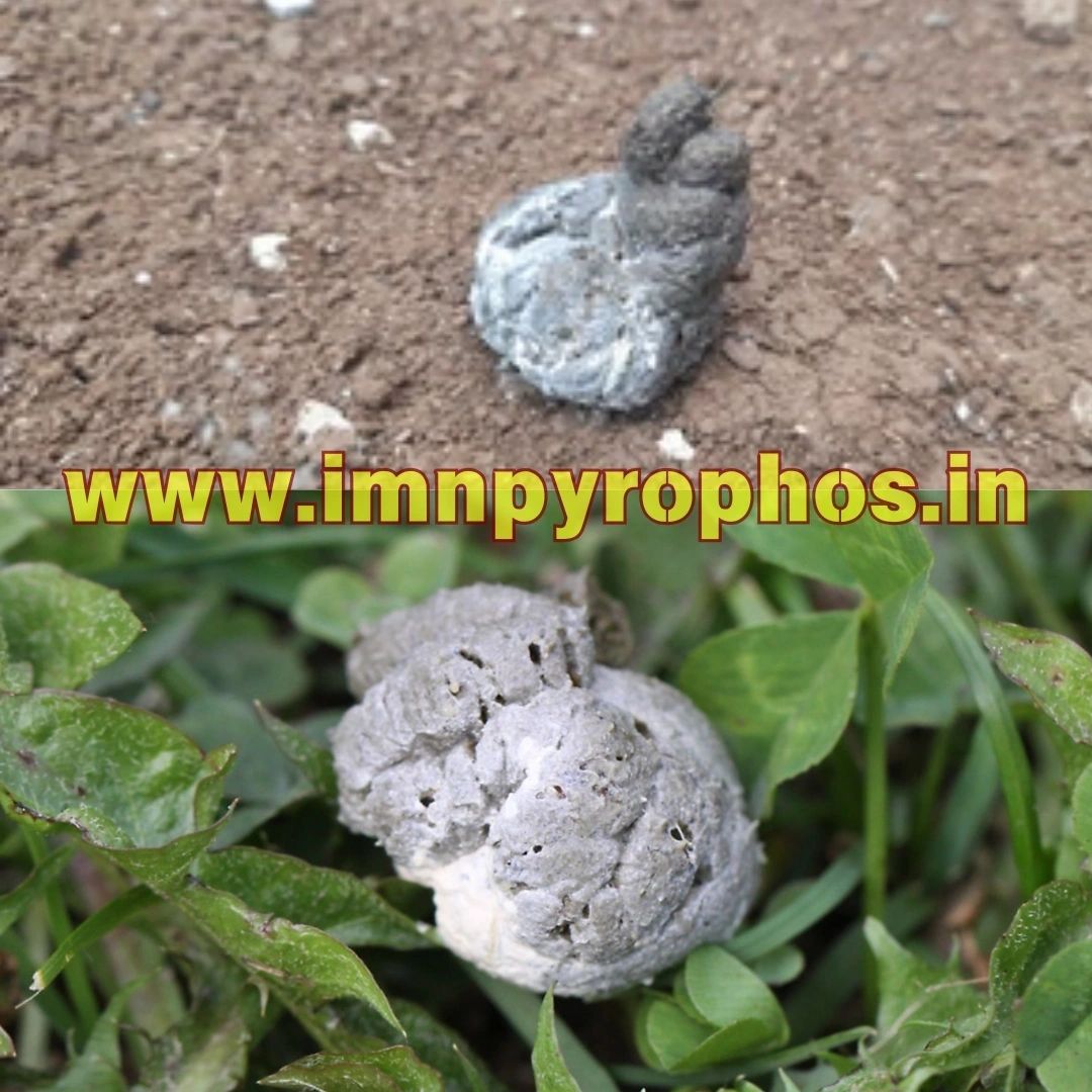 Poultry Droppings/ Chicken Poop Color Guide - Loose Droppings
