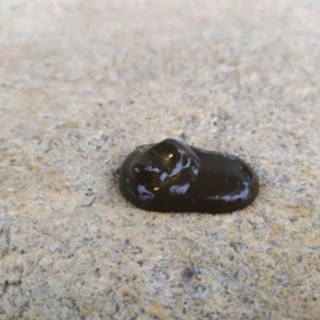 Poultry Droppings/ Chicken Poop Color Guide - Loose Droppings