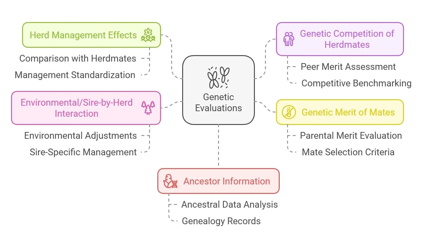 Decoding Sire Summary: A Practical Guide to Dairy Cattle Genetics