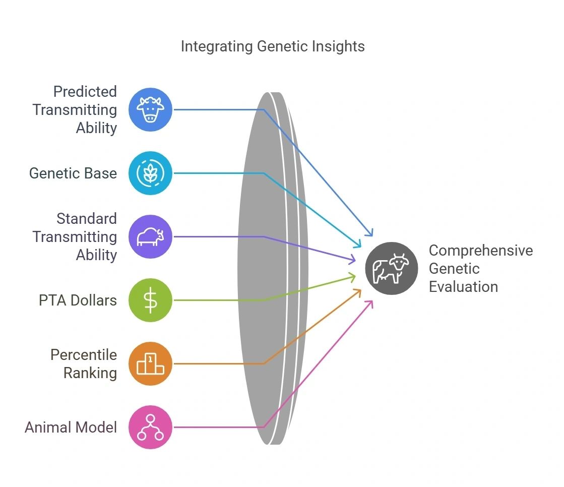 Decoding Sire Summary: A Practical Guide to Dairy Cattle Genetics