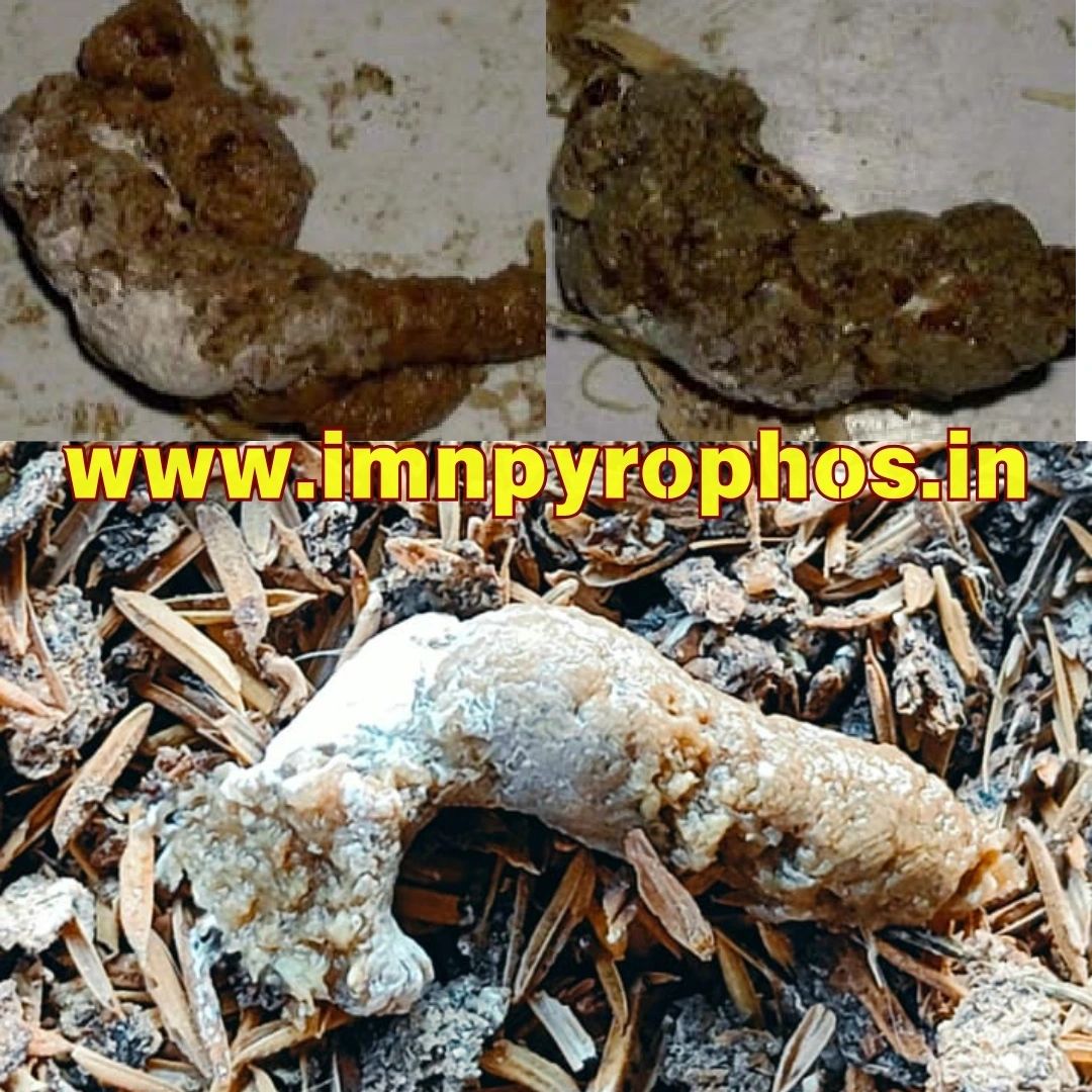 Poultry Droppings/ Chicken Poop Color Guide - Loose Droppings