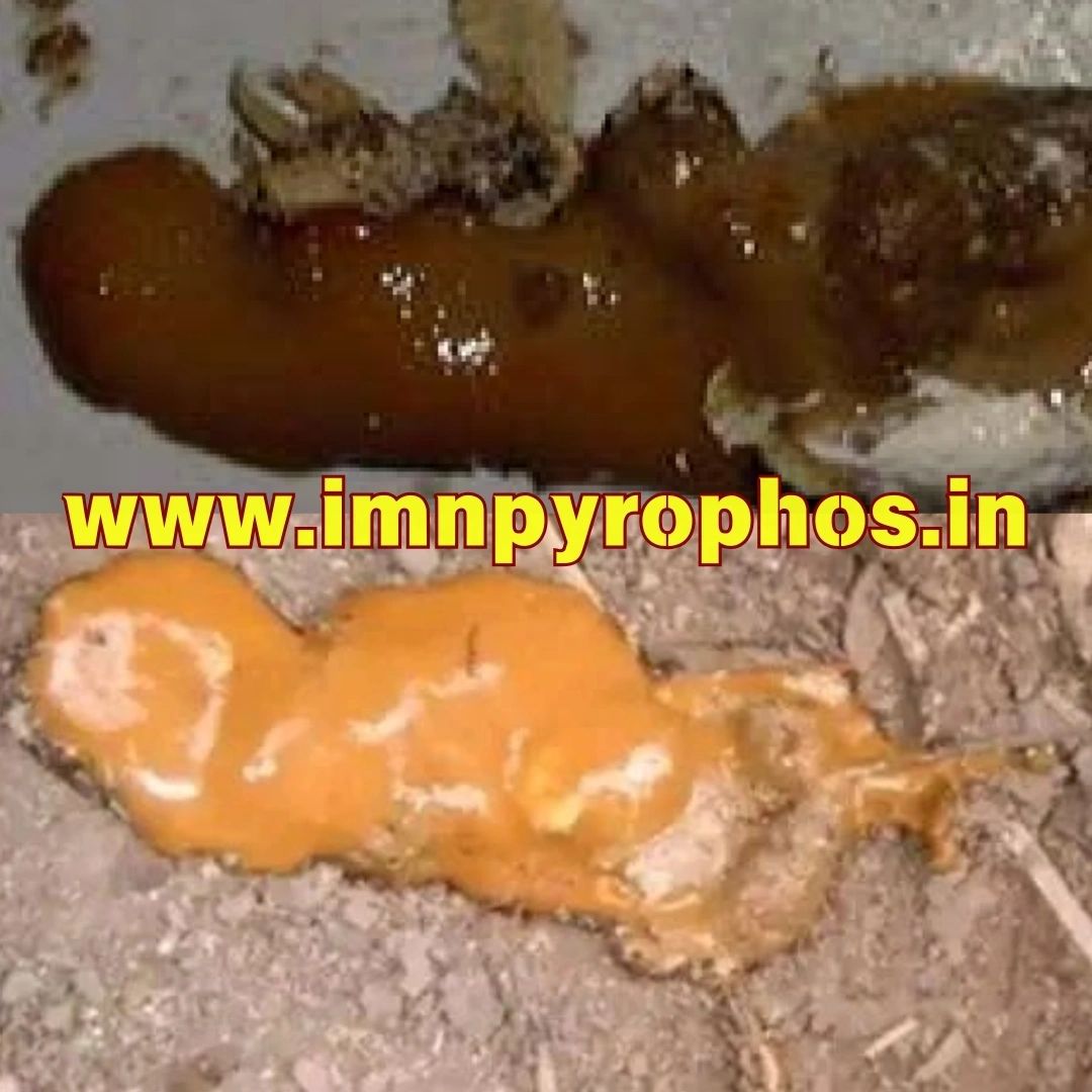 Poultry Droppings/ Chicken Poop Color Guide - Loose Droppings