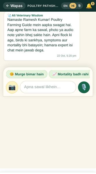 Expert se chat