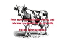 How much metabolizable energy and calcium required for 1L milk imn blob 8cb4f2d 6326f