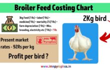 imn broiler feed costing thumbnail acb52