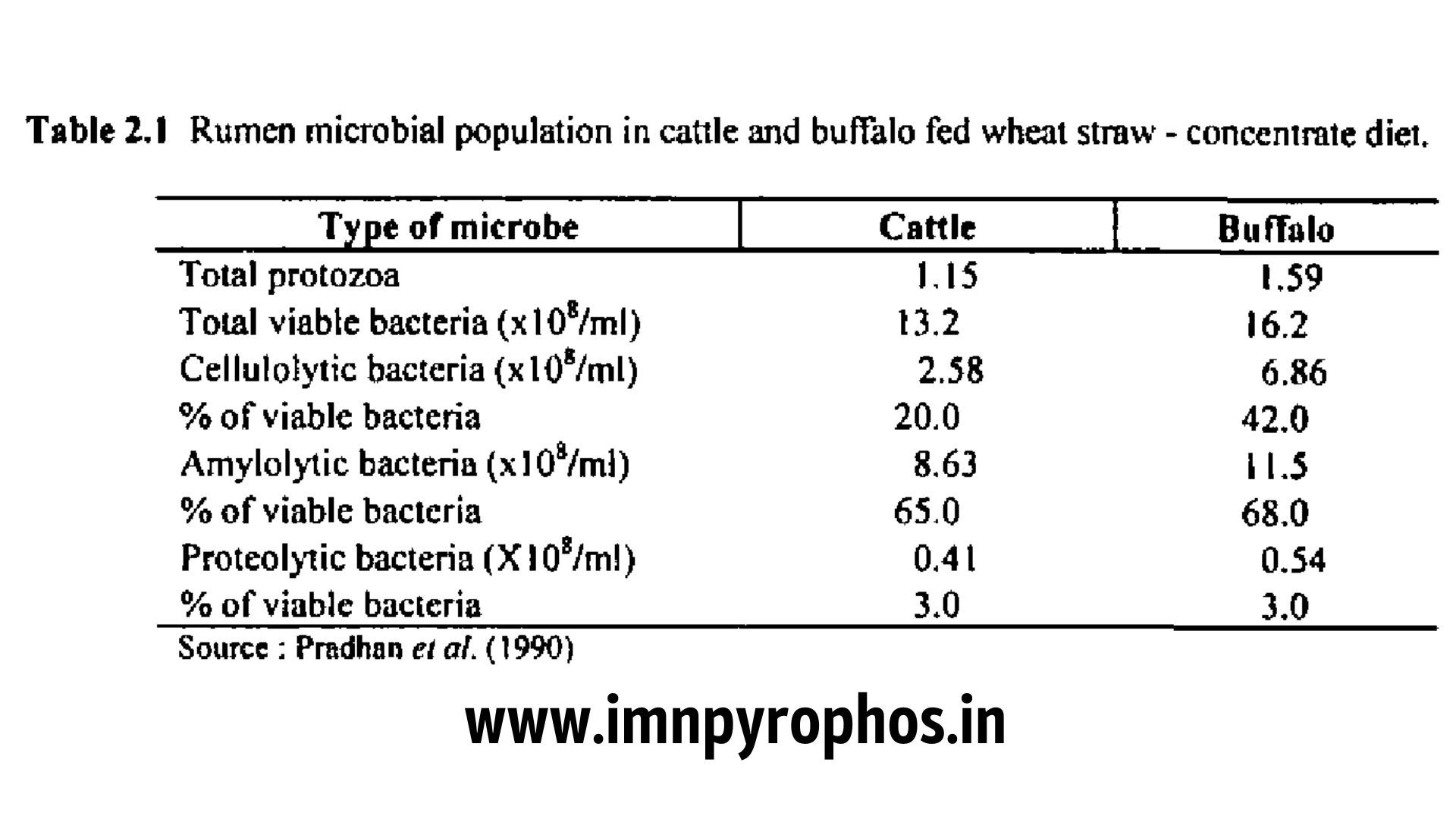 Buffaloes have stronger digestion than cows, here is proof