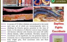 imn cocci a5f8e