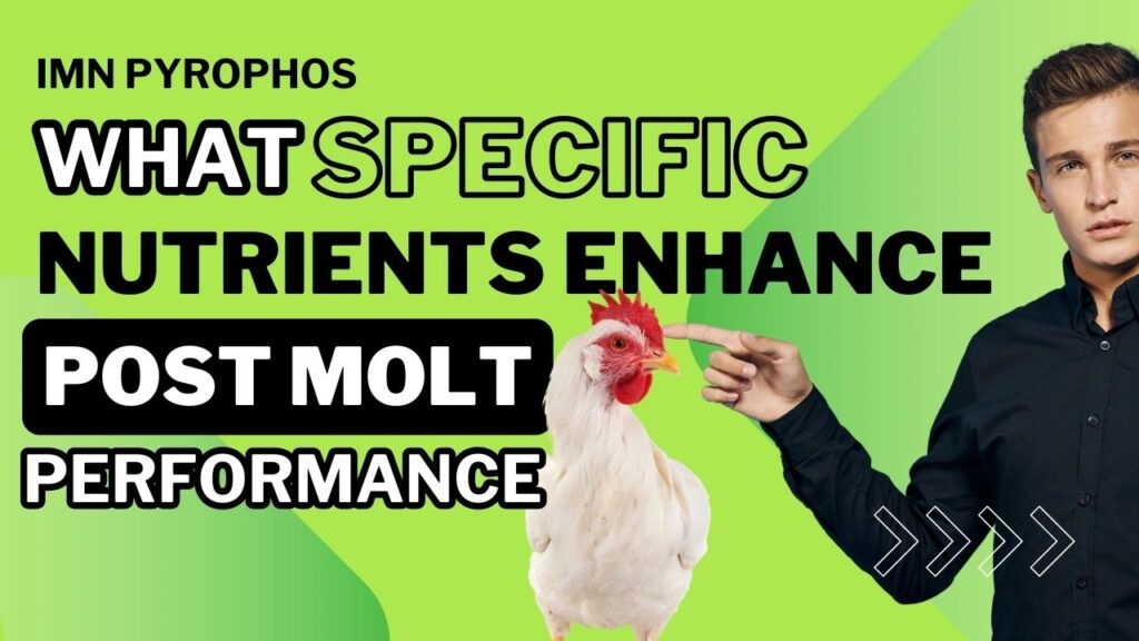 imn nutrients for pos molt a1b99