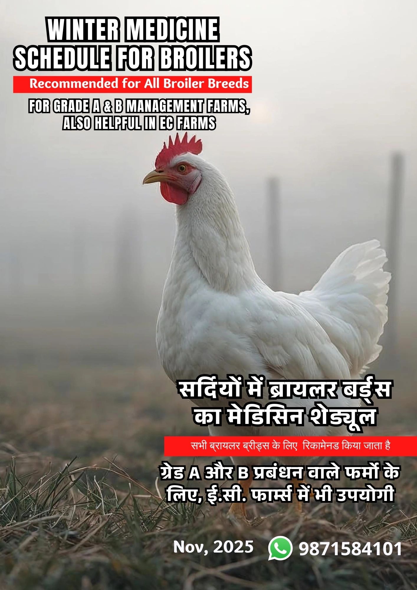 Winter Management in Poultry Farming Winter Management in Poultry Farming