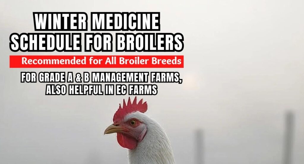 imn winter broiler schedule 77cd6f1 e9125