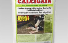 imnp calcigain