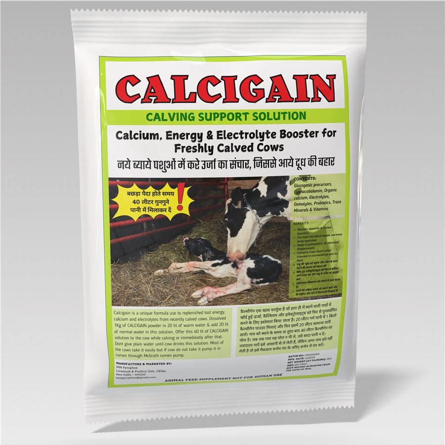 Calcigain calving support drink for cows and buffaloes