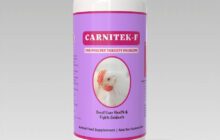 imnp carnitek f2