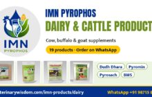 imnp dairy banner