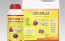 imnp hepasol ds