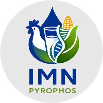 IMN Pyrophos logo