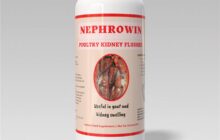 imnp nephrowin