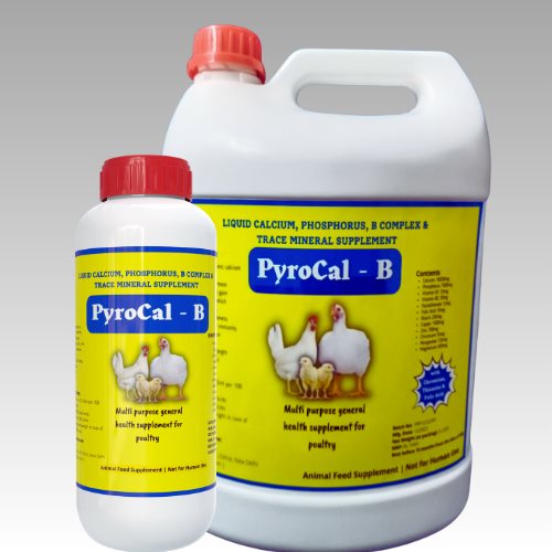 Pyrocal B IMN Pyrophos